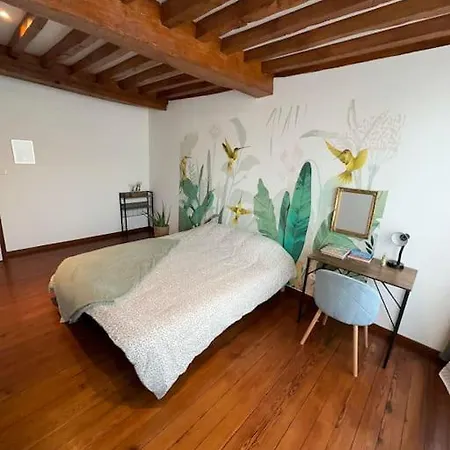 Διαμέρισμα L' Cocoon *